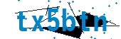 recaptcha